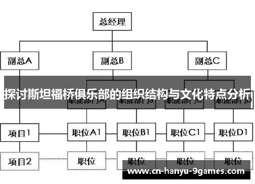 探讨斯坦福桥俱乐部的组织结构与文化特点分析