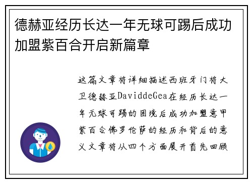 德赫亚经历长达一年无球可踢后成功加盟紫百合开启新篇章